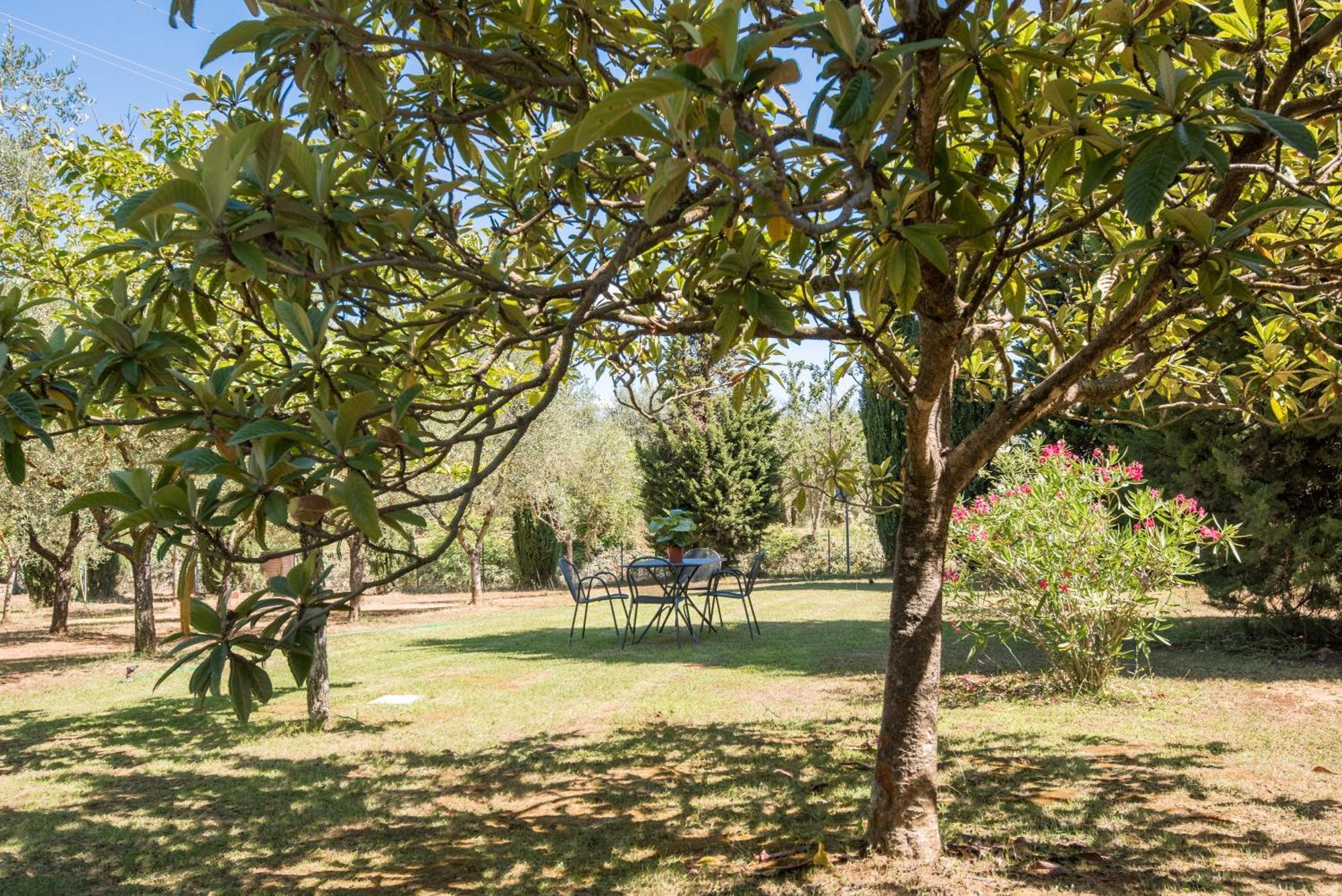 Podere San Lorenzo Siena Dış mekan fotoğraf